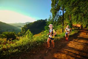 BIB: 
                            <button type="button" onclick="openModal(19169219)" class="btn btn-primary btn-sm float-right btn-popup" data-toggle="modal" data-target=".modal-high-quality">
                        <i class="fas fa-shopping-cart"></i> Add to Cart
                    </button>
                                            <button type="button" onclick="isThisMe(19169219, true)" class="btn btn-success btn-sm float-right btn-popup btn-isme hidden" data-toggle="tooltip" data-placement="bottom" title="นี่คือรูปของคุณใช่ไหม คลิกที่นี่เพื่อเอาเข้าอัลบั้ม">
                        <i class="fas fa-plus"></i> Add to album
                    </button>
                    <button type="button" onclick="isThisMe(19169219, false)" class="btn btn-warning btn-sm float-right btn-popup btn-isnotme hidden">
                        <i class="fas fa-ban"></i> Remove from album
                    </button>